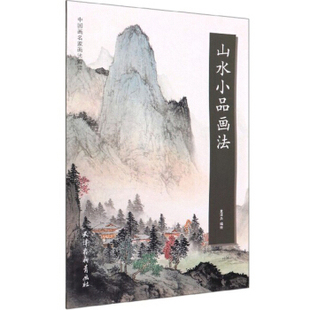区域包邮   杨柳青   中国画名家画法解读：山水小品画法   袁泽兵