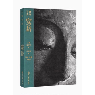 石窟史诗系列 安岳 驻足岁月更迭中的石窟一刻，追寻千磨万击下的灵光流动 读库 王南 袁进钊  四川美术出版社  读库