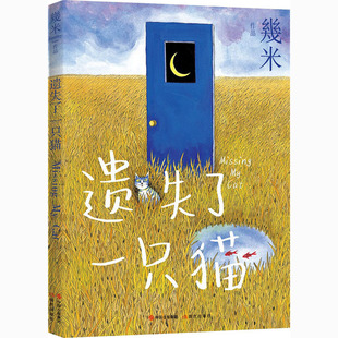 区域包邮 现代出版社 遗失了一只猫(几米作品系列新版) 几米
