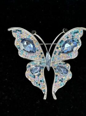 欧美蝴蝶服装新款蓝色胸花百搭