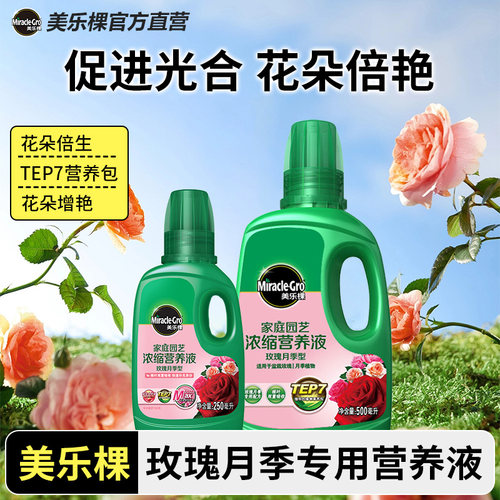 玫瑰月季浓缩盆栽种植液体肥