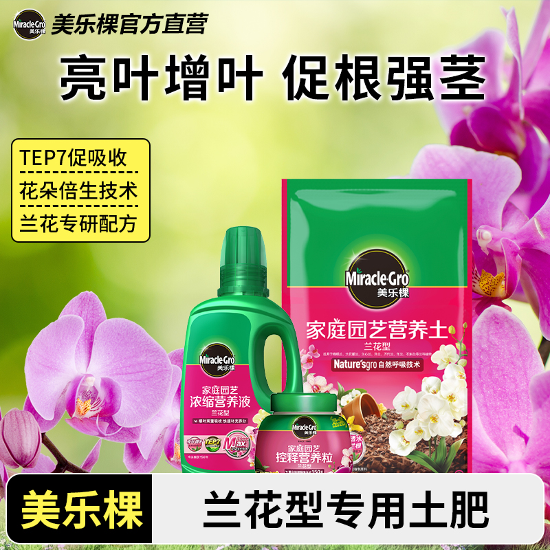 美乐棵兰花营养液盆栽