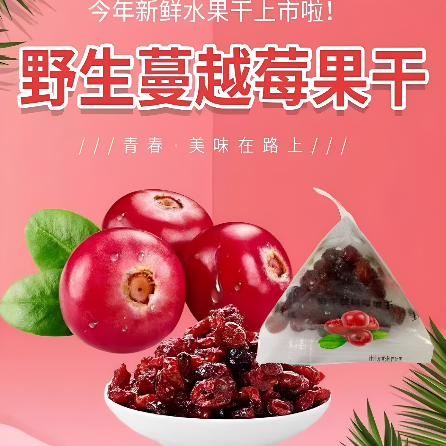 北极泉野生蔓越莓干酸甜小袋装