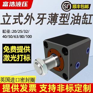 立式 SD20 125系列 外牙薄型油缸液压油缸方形高温模具螺纹JOB