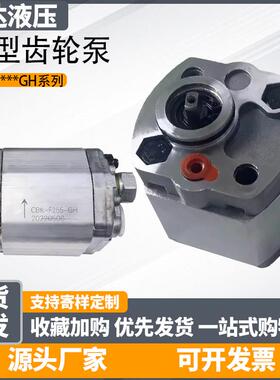 微型齿轮泵CBK-F233GH-F255GH带阀CBK-F4.2DF2液压油泵CBK-F216GH