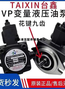 TAIXIN台鑫叶片泵VP-20-FA3 液压站泵头VP-12 VP-15 VP-30/40-FA3