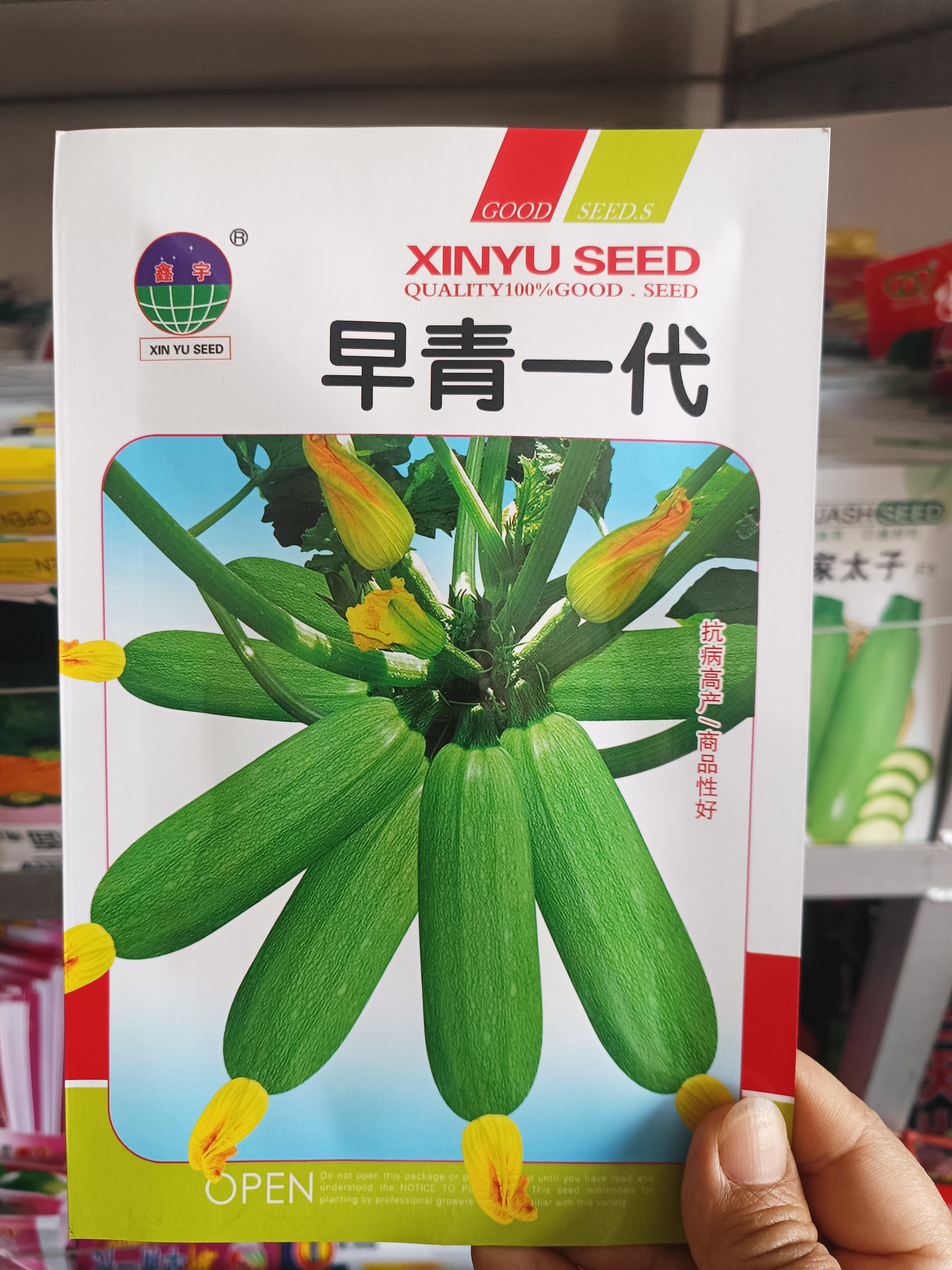 【早青一代西葫芦种子】老品种角瓜种子