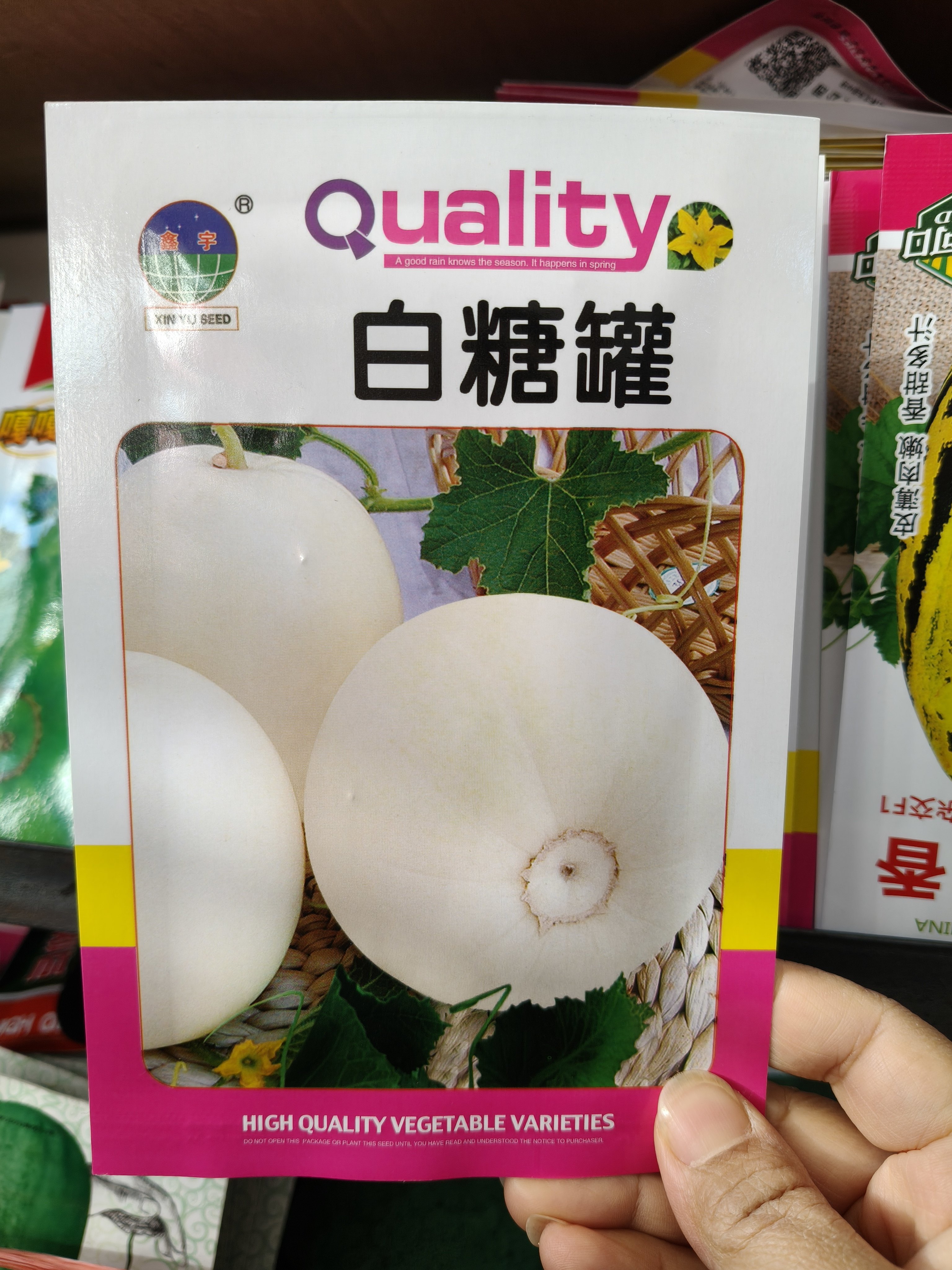 白糖罐香瓜种子  宏宇甜瓜种子图片