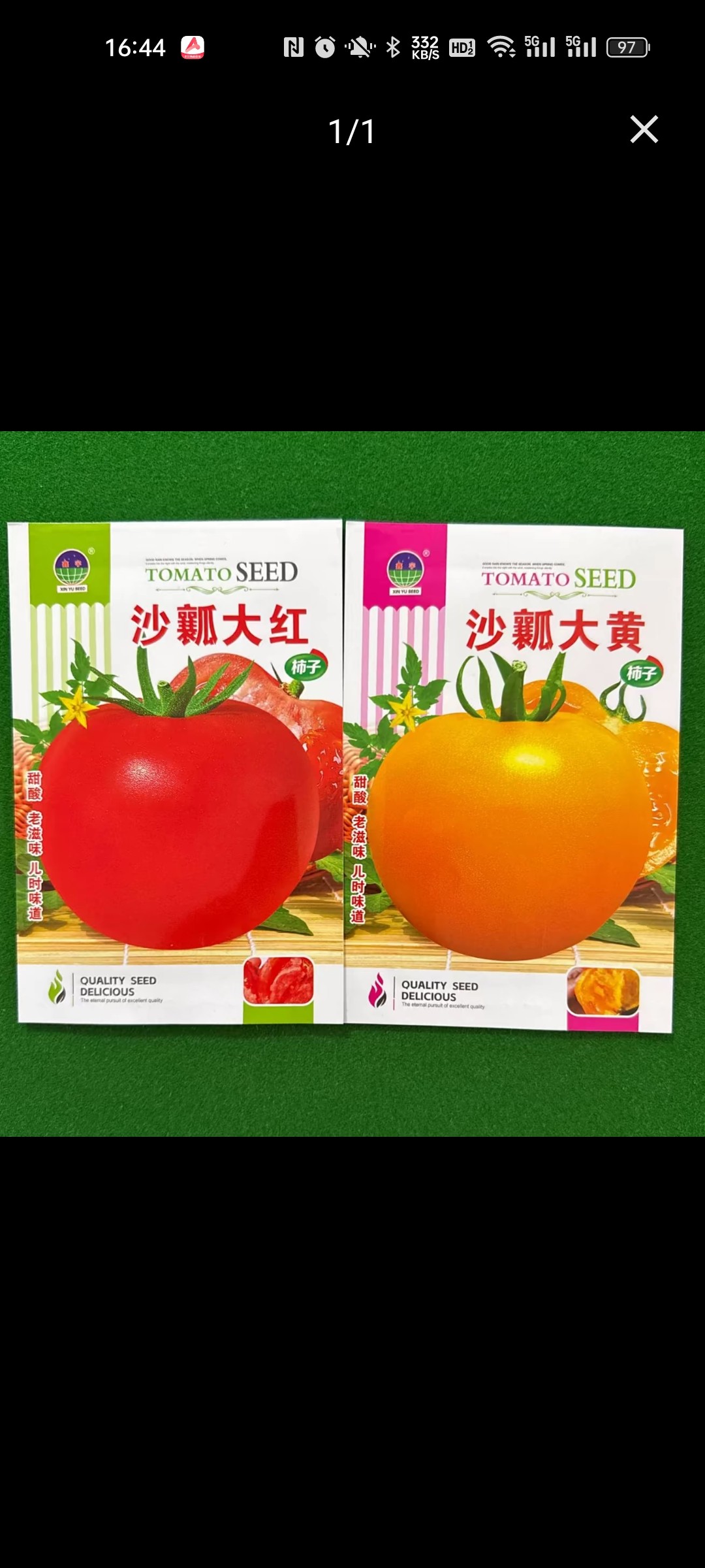 沙瓤大红 大黄西红柿大红番茄种子茄种籽矮黄矮粉沙瓤四季春季