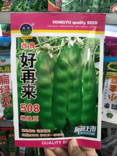 好再来508地油豆种子无架油豆角种子