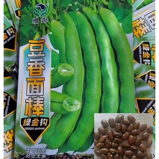 豆香面棒绿金钩豆角种子无劲无柴开锅烂