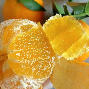 四川爱媛橙整箱10斤现摘包邮新鲜水果蒲江特产薄皮细嫩果冻橙橘子