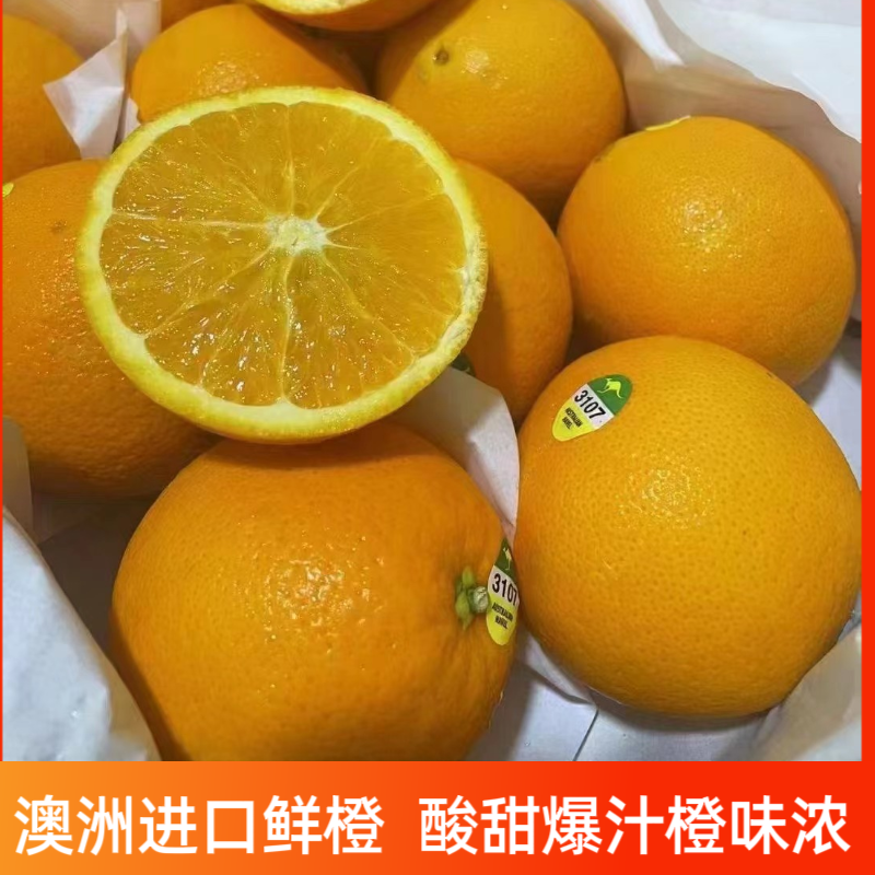 【进口澳洲橙】当季袋鼠标3107澳洲橙酸甜可口多汁橙味浓郁发顺丰