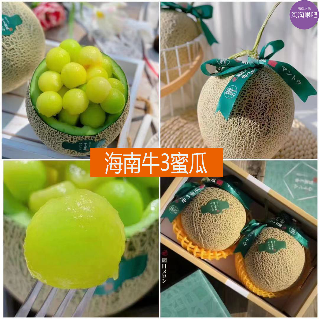 海南牛3蜜瓜 日本品种网纹瓜2个装玫珑瓜软糯香甜多汁发顺丰