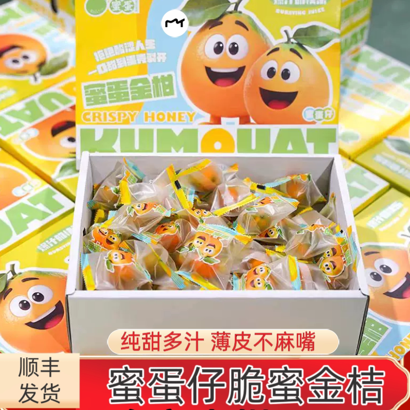 当季脆蜜金桔礼盒装纯甜多汁新鲜水果1.5斤独立包装金桔发顺丰