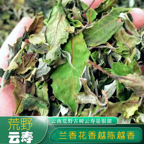 3斤大份量【兰香云寿白茶源料】云寿白茶散茶白毛茶农产品1500克