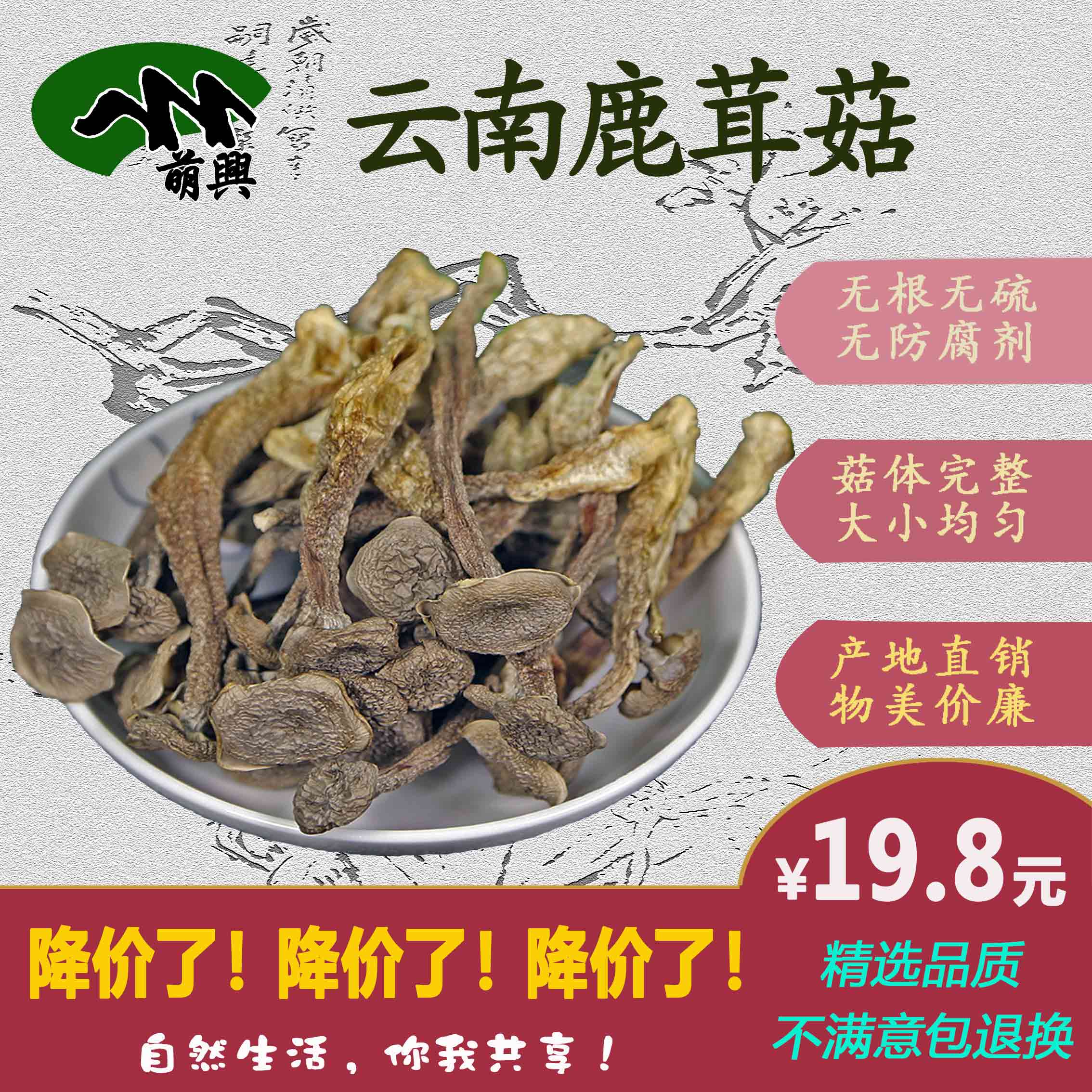 云南特产山珍食材仿野生菌鹿茸菇