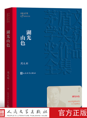 官方正版 湖光山色 茅盾文学奖获奖作品全集 平装 周大新 人民文学出版社