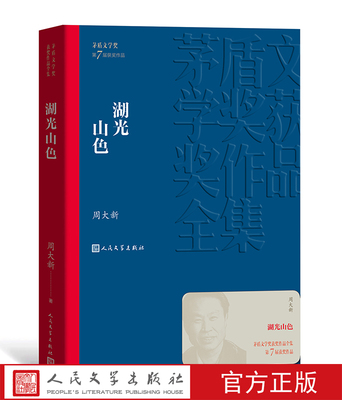 官方正版 湖光山色 茅盾文学奖获奖作品全集 平装 周大新 人民文学出版社