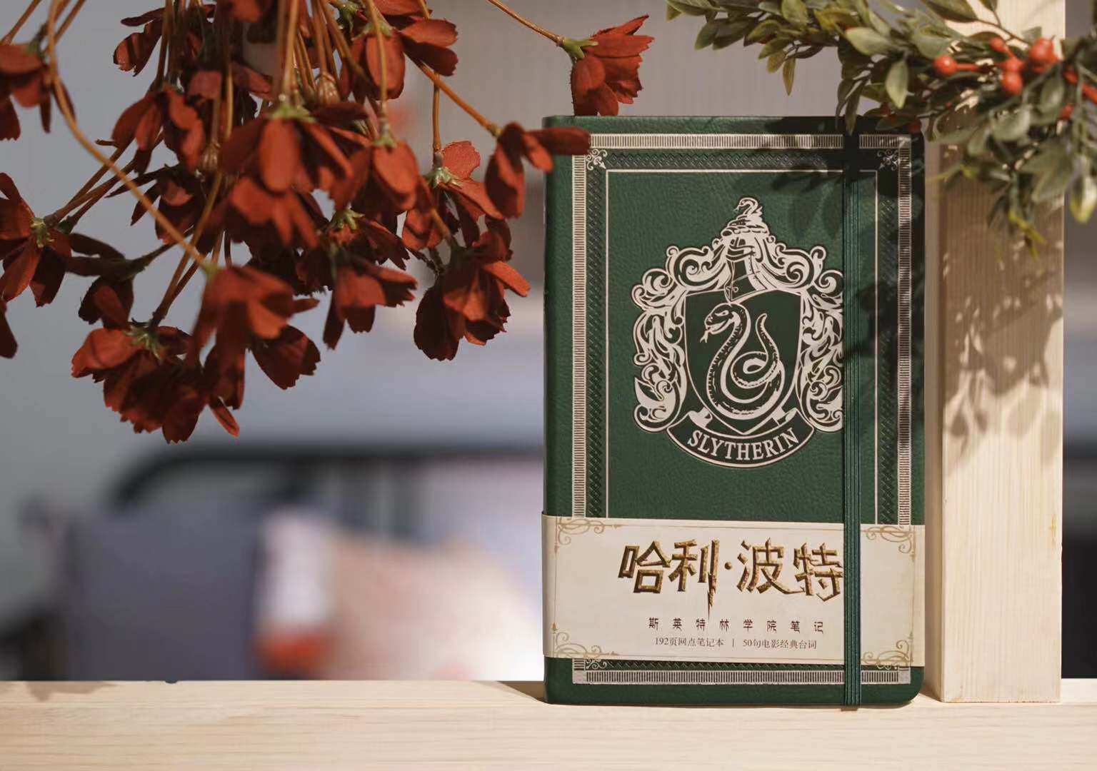【现货秒发】官方正版哈利·波特斯莱特林学院笔记本官方授权中文正版2020年笔记本手账帐圣诞笔记霍格沃茨人民文学出版社文创