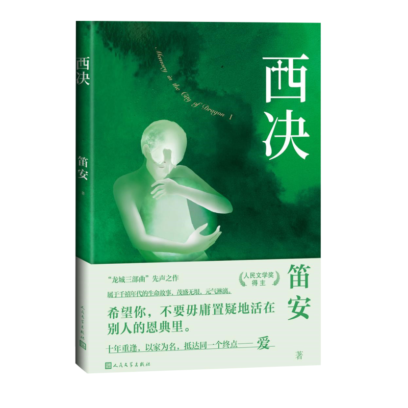 龍城三部曲西決東霓南音笛安著家庭倫理話題劇馬伊琍白宇李婷婷電視劇龍城愛奇藝長篇小說中國當(dāng)代青春人民文學(xué)出版社