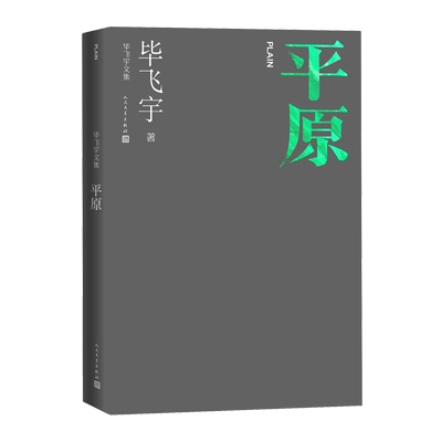 平原毕飞宇著现当代文学长篇小说