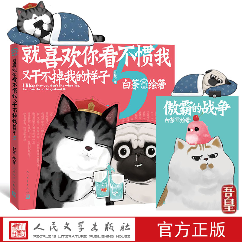 预售官方正版白茶新书人民文学出版社