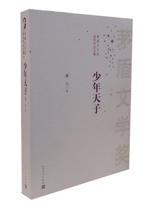官方正版  茅盾文学奖少年天子//凌力长篇历史小说系列人民文学出版社