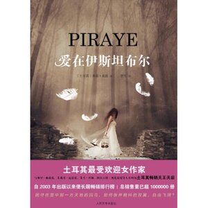 官方正版 爱在伊斯坦布尔　典南?桑恩  人民文学出版社