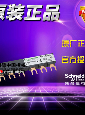 原装施耐德梳状母排 GV2G245 GV2-G245 3极63A母排2抽头 间距45mm