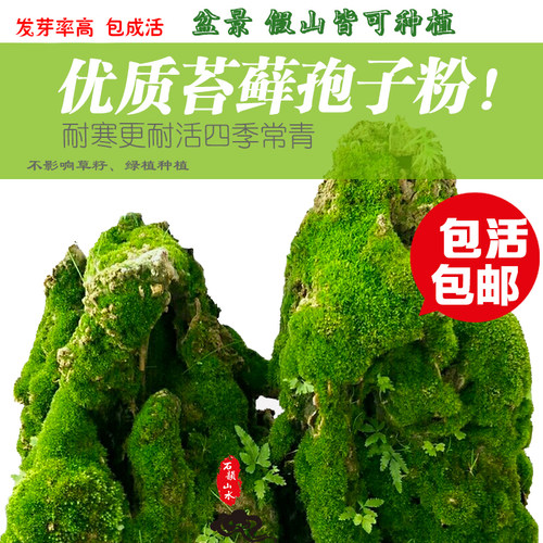 山水石盆景价格 多少钱