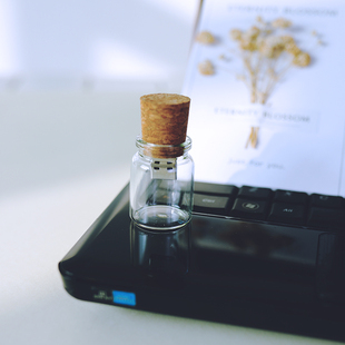 仿真漂流瓶许愿瓶木塞U盘 手机电脑两用华为type-c高速64G车载U盘