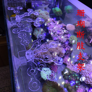 珊瑚断肢架支架亚克力珊瑚架SPS纽扣断枝架断肢架断枝座基座支架