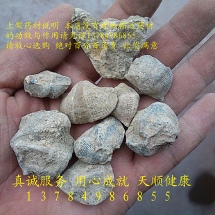 石燕 正品 1千克25 天顺健康 石燕