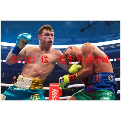 拳王阿瓦雷兹海报 拳击馆搏击格斗励志运动墙贴壁纸装饰画