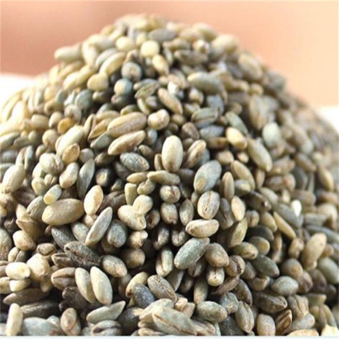 高原蓝青稞500g青海特产优质青稞米五谷杂粮特产