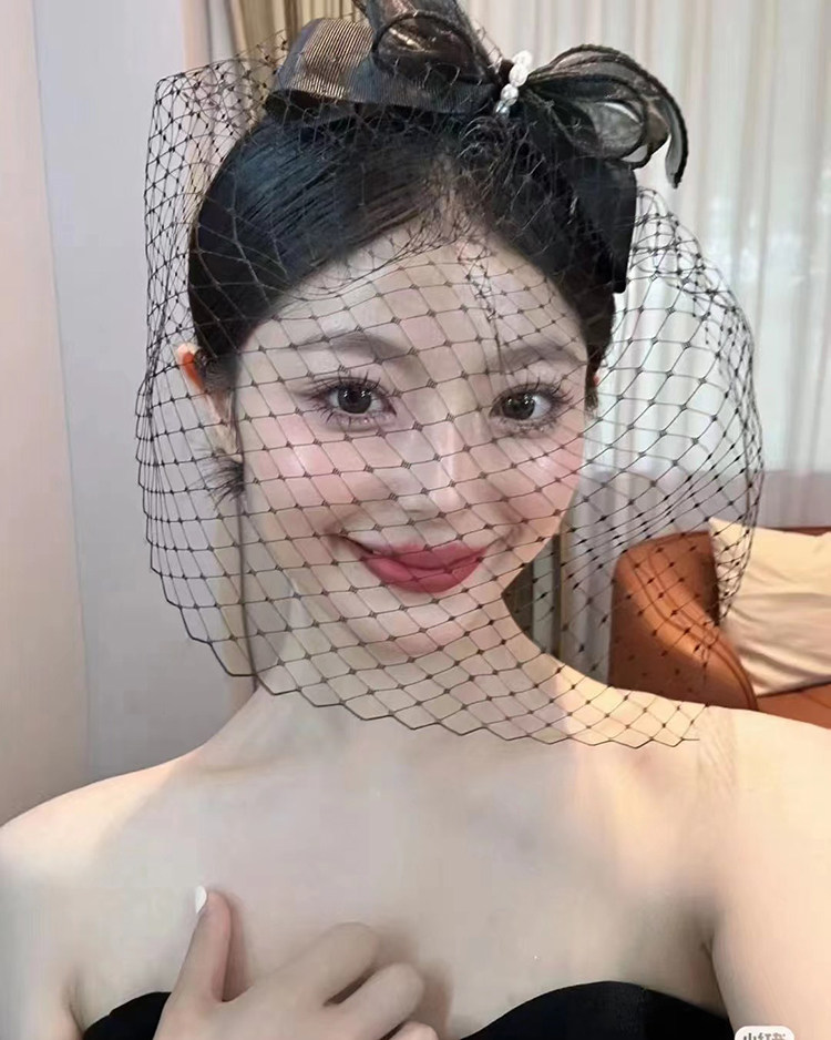 法式赫本风新娘气质遮面网纱发夹