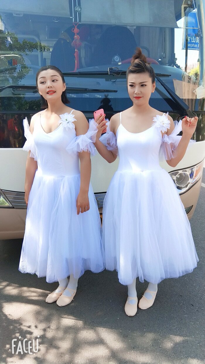 吊带芭蕾舞纱裙成人中长款白色天鹅湖蓬蓬裙专业舞蹈表演连衣裙