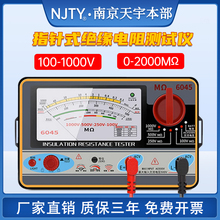 南京天宇TY-6017/6018/6045绝缘电阻测试仪兆欧表500V/1000V摇表