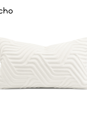 echo轻奢现代白色高档刺绣抱枕高级样板间酒店别墅沙发腰枕靠垫套