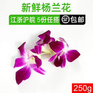 新鲜洋兰花 杨兰花250g 马兰花 香料 饭店菜品装饰 西餐点缀