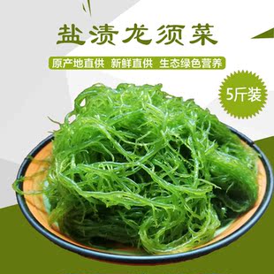 霞浦龙须菜新鲜盐渍火锅凉拌菜海发菜海藻石花菜鹿角菜海草5斤装