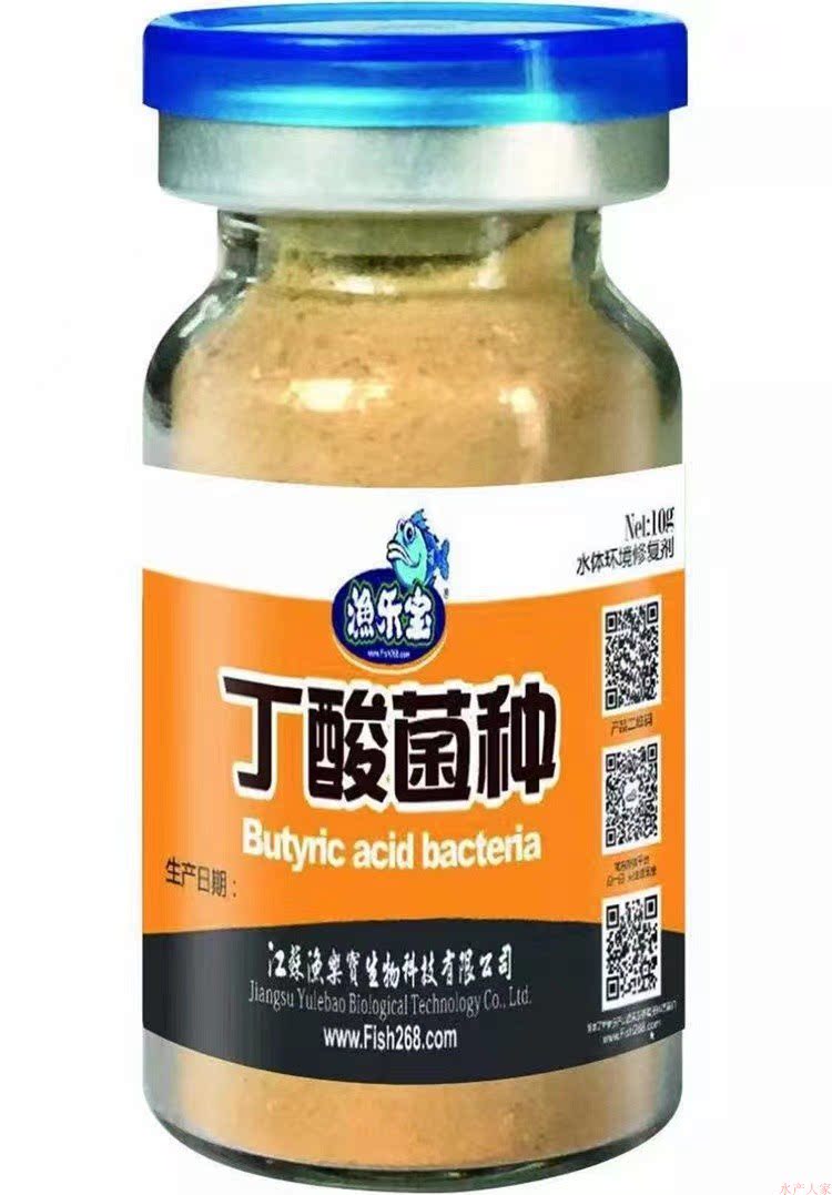 丁酸菌种水产养殖虾蟹塘白便空肠空胃调节肠道促长酪酸菌丁酸梭菌