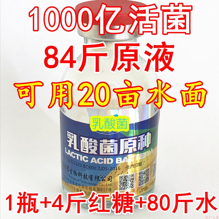 乳酸菌原种益生菌 芽孢杆菌乳酸菌光合细菌水产水族养殖用