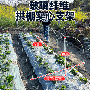 新型小拱棚支架拱杆秧苗蔬菜地温室大棚实心玻璃纤维杆玻璃钢农用