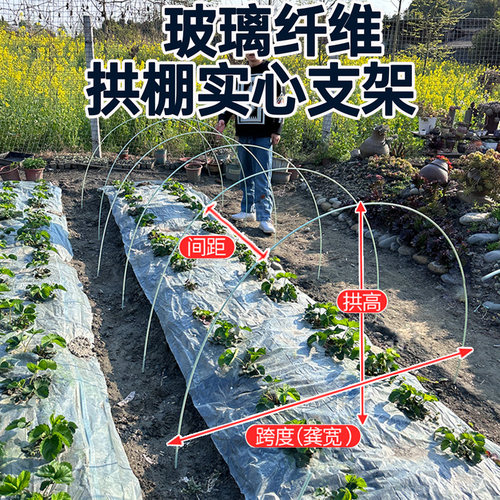 新型小拱棚实心支架农用安装方便