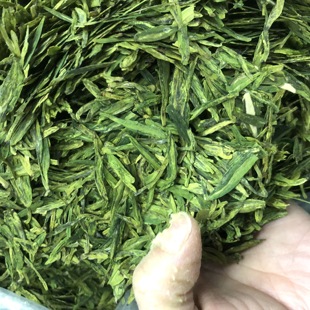 菊香茶店绿茶 250克泰顺三杯香散装茶叶龙井乌牛早高山雲务茶