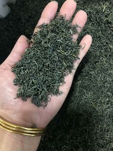 菊香茶店新春绿茶500克泰顺三杯香散装茶叶高山雲务茶