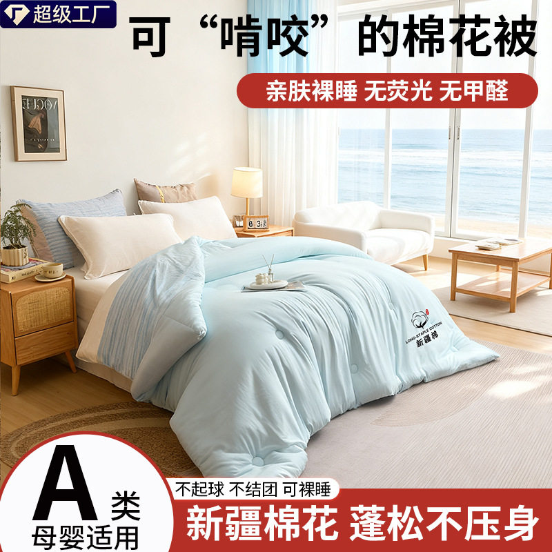 新疆棉花被a类长绒棉棉絮4斤6斤8斤被子加厚保暖冬被新疆棉被被芯,床上用品,棉花被,淘宝优惠券,粉丝福利购,淘宝优惠卷