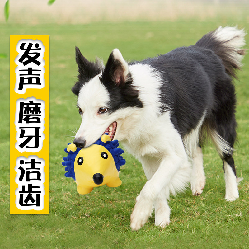 宜特宠物狗狗耐咬玩具互动发声球泰迪柯基洁齿训练球乳胶益智玩具在类目 宠物/宠物食品及用品, 猫/狗玩具, 发声玩具中 - 来自Buy2taobao.com提供专业的淘宝代购服务